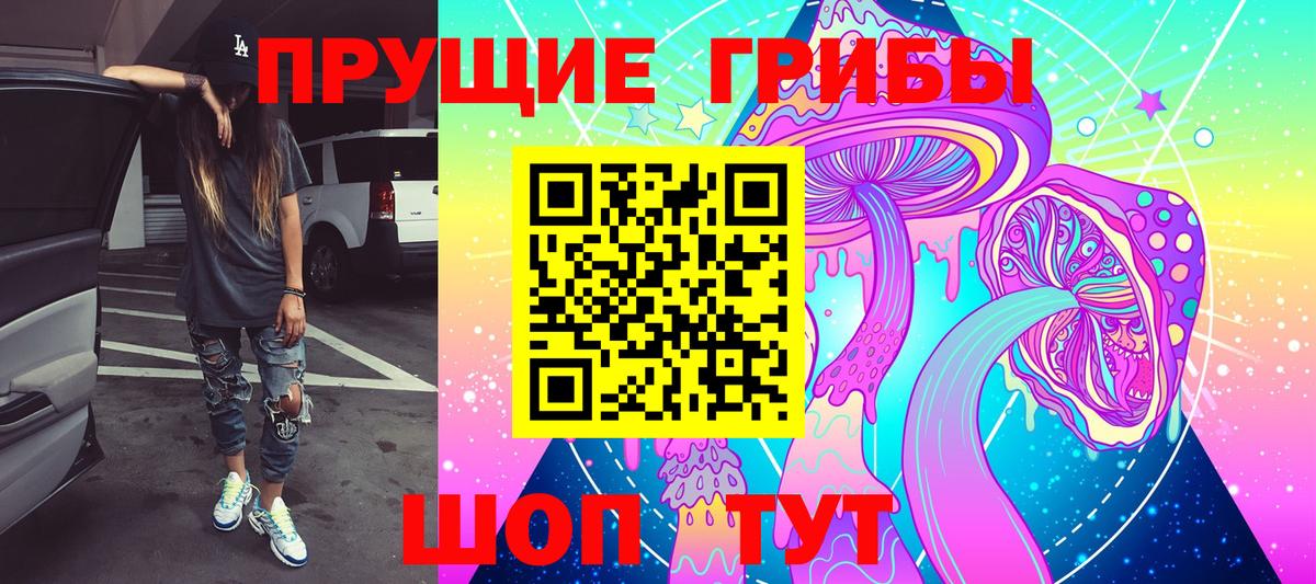 Псилоцибиновые грибы мицелий  Псилоцибиновые грибы прущие грибы  Шадринск  где продают   Вход с VPN 