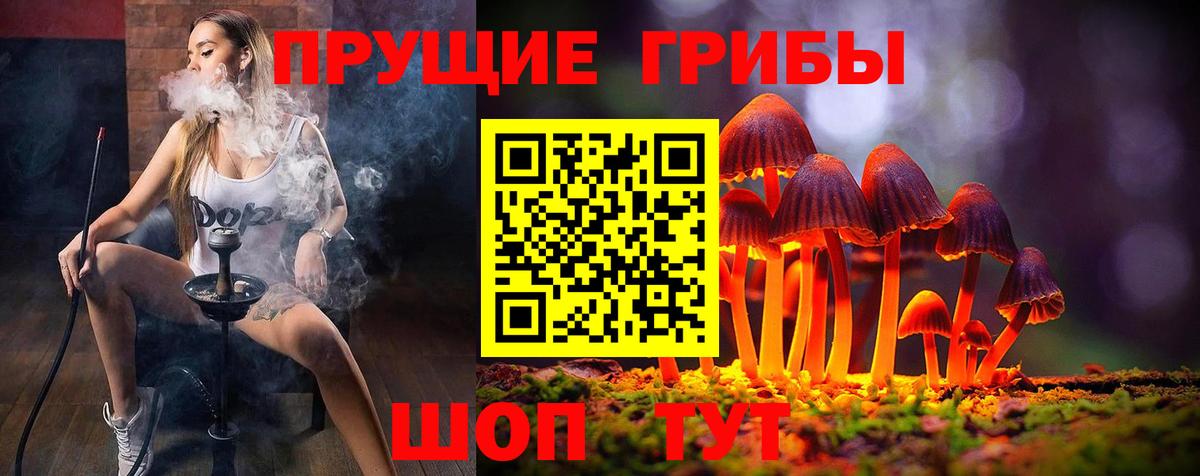 Галлюциногенные грибы прущие грибы Шадринск